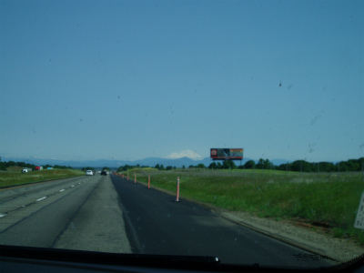 shasta_pic