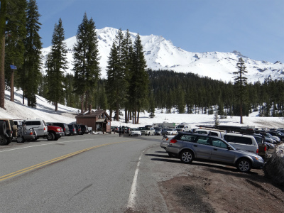 shasta_pic