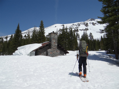 shasta_pic