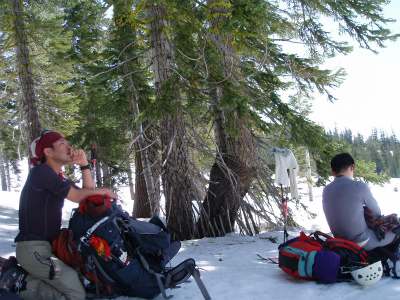 shasta_pic