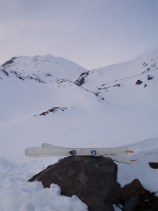 shasta_pic