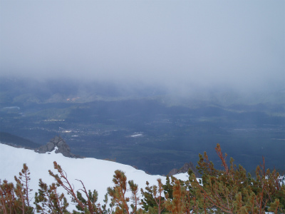 shasta_pic