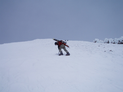 shasta_pic
