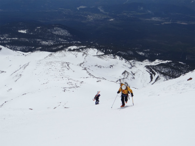 shasta_pic