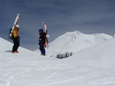 shasta_pic