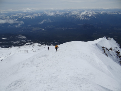 shasta_pic