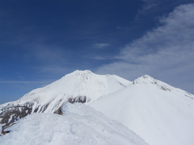 shasta_pic
