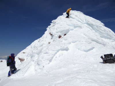 shasta_pic