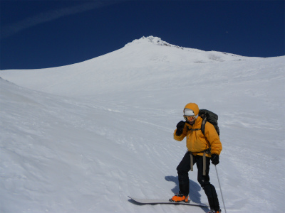 shasta_pic