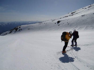 shasta_pic