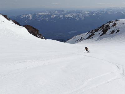 shasta_pic