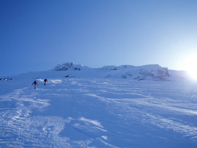 shasta_pic