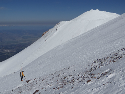 shasta_pic
