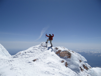 shasta_pic