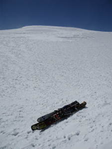 shasta_pic