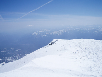 shasta_pic