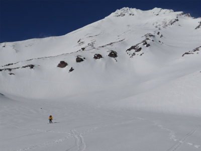 shasta_pic
