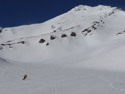 shasta_pic