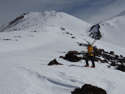 shasta_pic