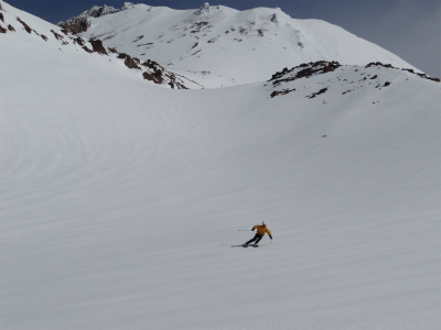 shasta_pic
