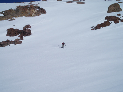 shasta_pic