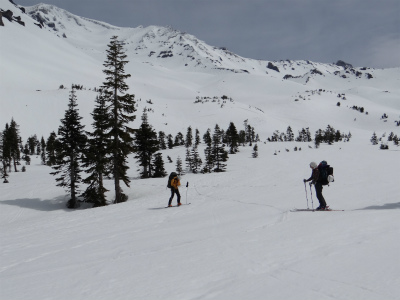 shasta_pic