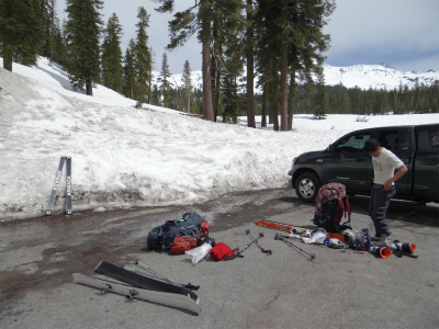 shasta_pic