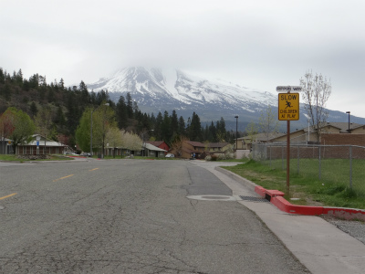 shasta_pic