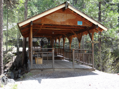 shasta_pic