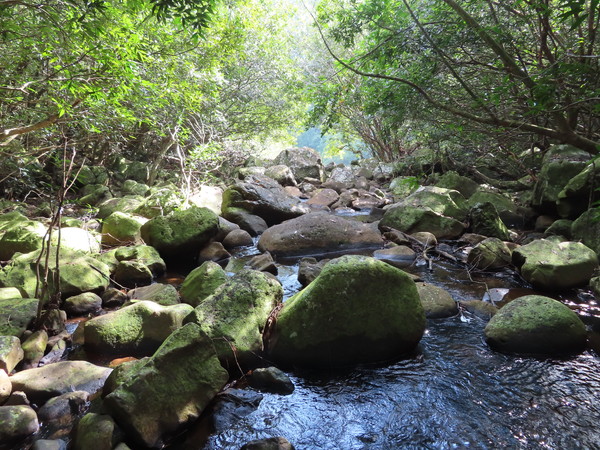 rocky trail