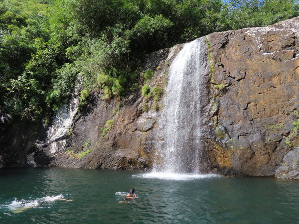 gentle swimming 