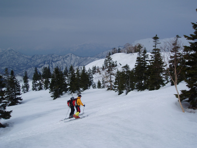 GkȂ