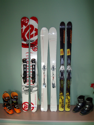 telemark skis