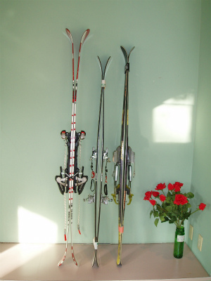 telemark skis