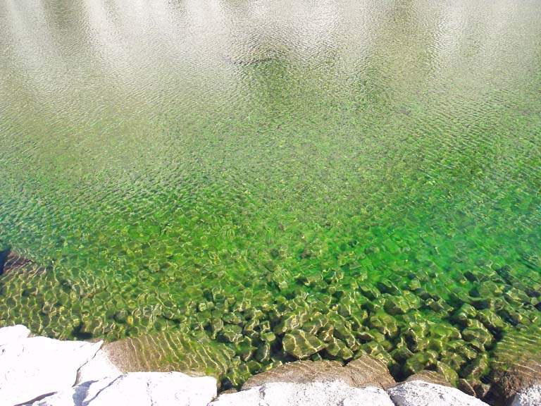 emerald green pond