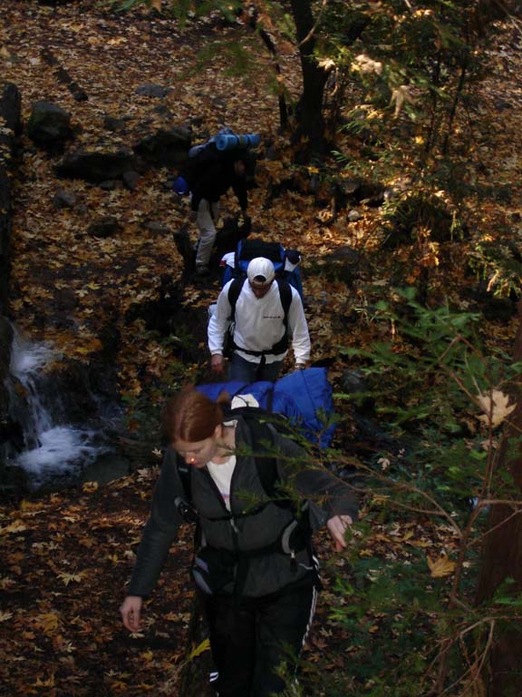 Just keep walking until we get to the hot springs!